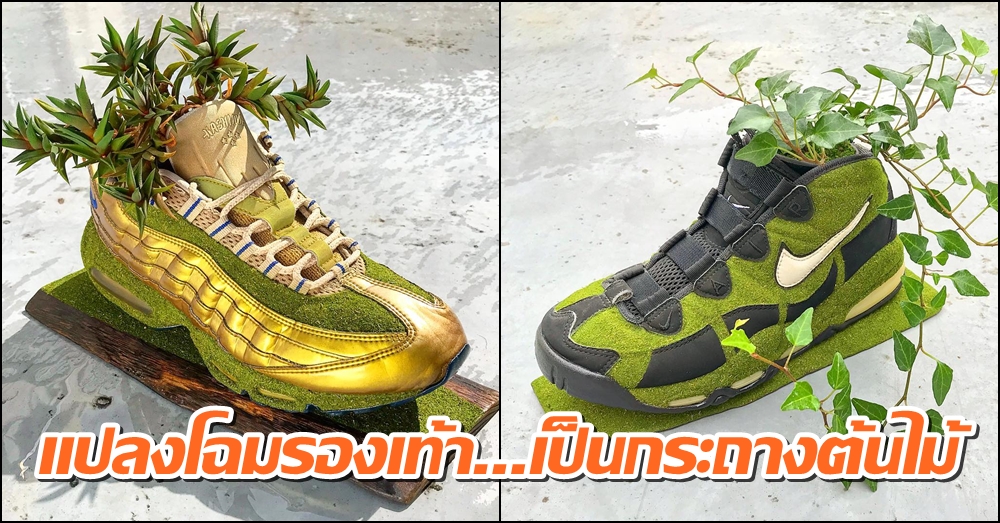 Nike Air系列球鞋巧变盆栽