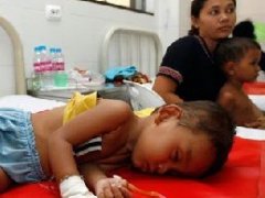 泰国登革热传播形式严峻 已致68人死亡