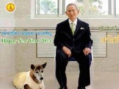 泰皇爱犬坤通玲去世 以衷心温顺出名