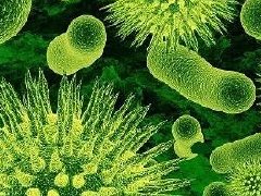 泰国确诊第2例中东呼吸综合症MERS患者 患者来自阿曼