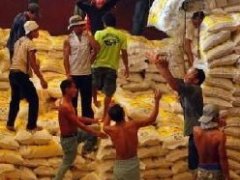 USDA参赞：泰国大米出口价格上涨