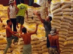 泰国将出售64.1万吨国储大米