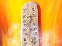 宋干节泰国最高气温43-44℃ 来，给桶冰水!