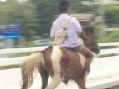 碉堡了！泰国少年骑马上学~