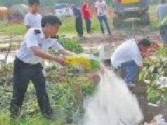 郑州机场检出不合格洋水果 600余斤泰国芒果深埋销毁