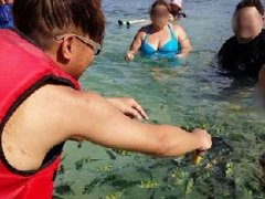 三名中国游客在泰国攀牙府出海喂鱼被罚