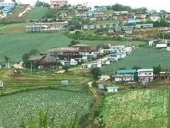 泰国总理巴育用临宪44条文强制整顿旅游景区违规酒店、民宿
