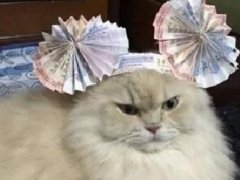 泰国一网友教你：没中奖的彩票还可以这么用