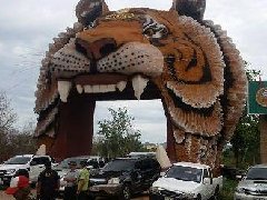 泰国北碧府虎庙将依法开办动物园?曾陷贩卖、虐待野生动物丑闻 