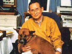 泰国国王也是一个爱狗人士 赞助流浪狗救助计划站