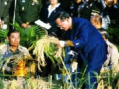 泰国国家档案局:免费开放逾3万张国王相片免费下载