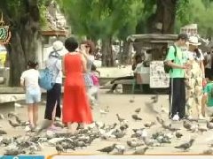 泰国旅游:打击零元团影响严重 中国游客人数大幅下降