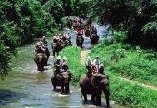 泰国旅游呈反常现象持续下降! 游客与去年同期相比缩减六成