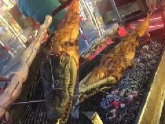 泰国街头烤鳄鱼与蛇? 泰国网友否认