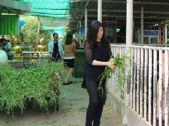 泰国前总理英拉市场买东西 粉丝民众求合影