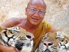 泰国北碧府虎庙疑涉嫌走私非法买卖和持有野生动物