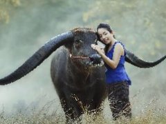 泰国本年度入选35photo最佳50张摄影作品图片欣赏 