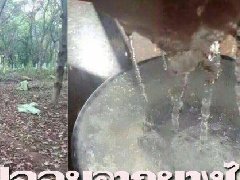 泰国“假燕窝的原材料竟是树脂”被证实是真的！