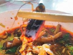 泰国一男子吃粉吃到大蟑螂 店主:想吃干净的粉去大商场!