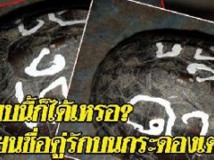 泰国情侣恩爱秀在龟壳上写名字遭网友炮轰!