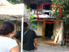 泰热啦! 狗狗发狂欲跳楼自杀!