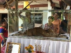 泰国2头2尾6腿怪牛带财运？主人竟连中3期彩票