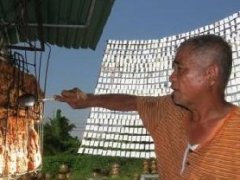 泰国大叔巧用阳光反射烤肉获荣誉证书! 海外企业关注阳光烤肉!