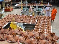 泰国佛统府3位信徒还愿 300个猪头和20万现金摆满寺庙 