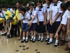 泰国国王玛哈·哇集拉隆功喜迎65岁寿辰 民众放生1066只海龟