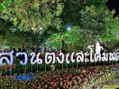 泰国旅游:第14届泰国清莱鲜花节 2018年1月31日止免费速来
