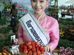 泰国清迈沙蒙县将举行第十七届草莓节 日期：2月9-11日